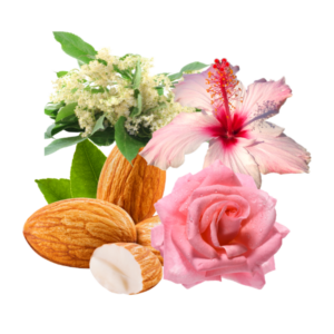 Planten - Overige